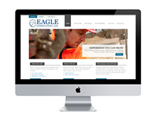 Eagle Consulting LLC