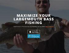 BassForecast