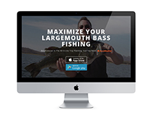 BassForecast