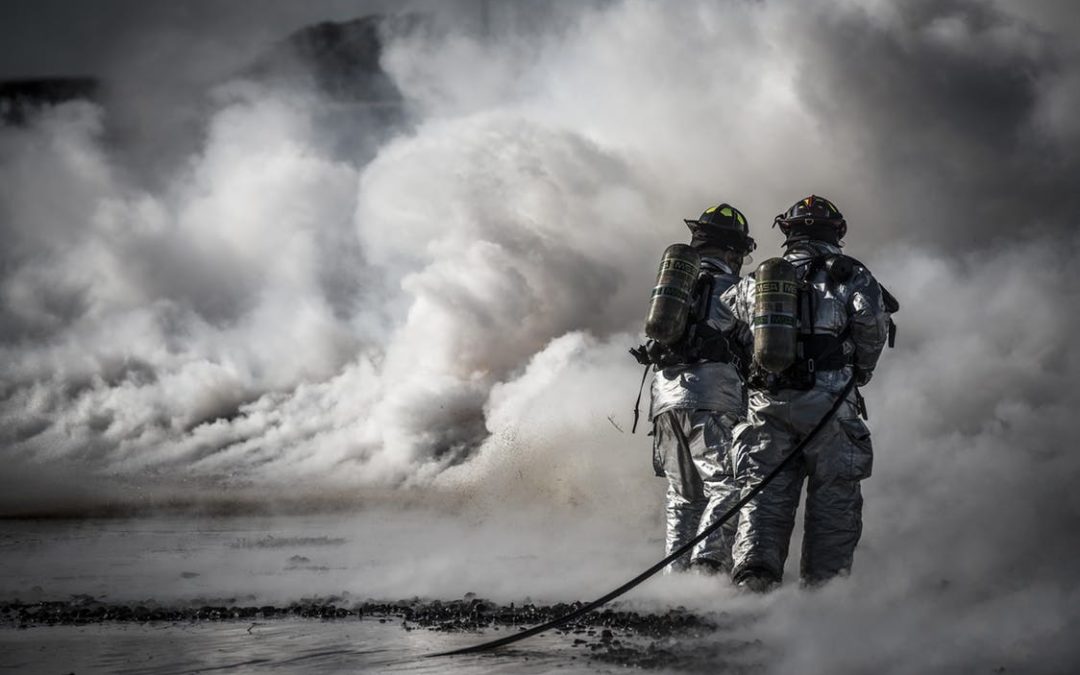 Recovery from Disaster: Bay Area Wildfires